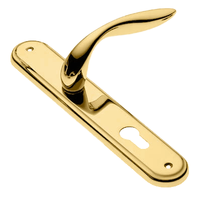 Ручка дверная на планке LEON PL OTL, цвет золото, латунь фото купить в Воронеже